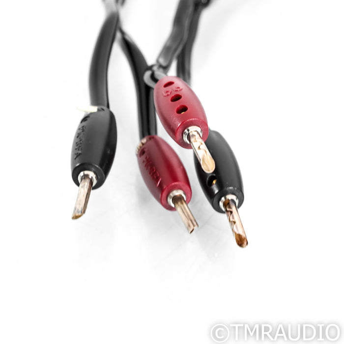 AudioQuest Rocket 44 Bi-Wire Speaker Cables; 8ft Pair