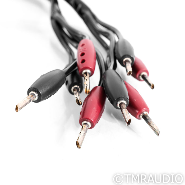 AudioQuest Rocket 44 Bi-Wire Speaker Cables; 8ft Pair