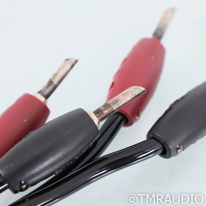 AudioQuest Rocket 44 Bi-Wire Speaker Cables; 8ft Pair