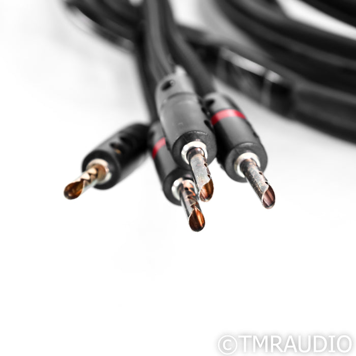 AudioQuest Rocket 44 Speaker Cables; 12ft Single Bi-Wire cable
