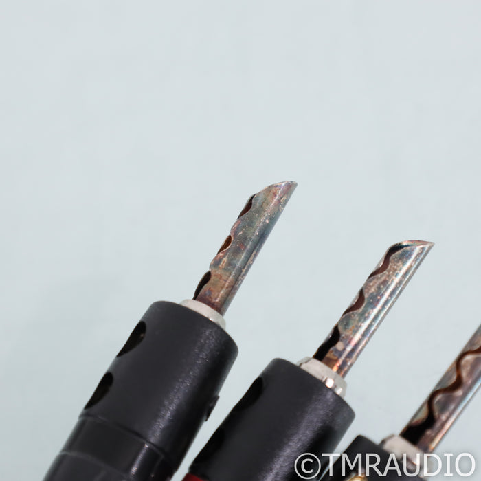 AudioQuest Rocket 44 Speaker Cables; 12ft Single Bi-Wire cable