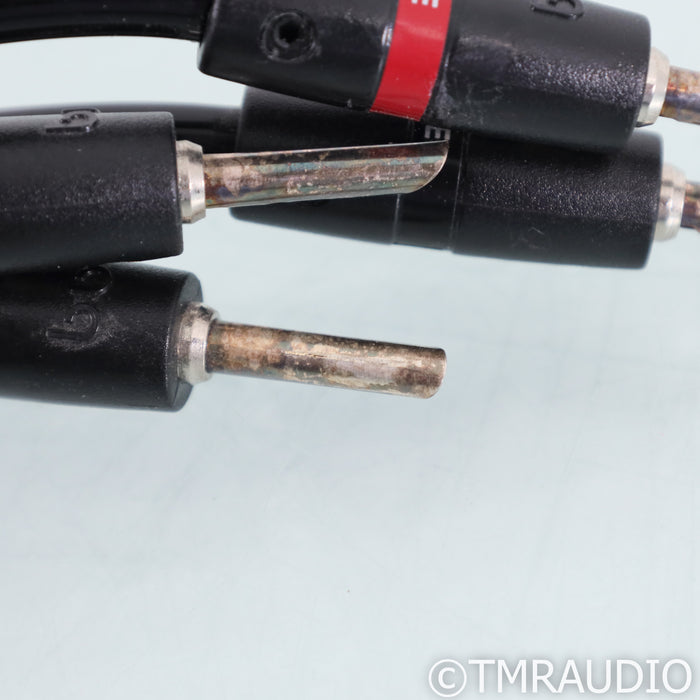 AudioQuest Rocket 44 Speaker Cables; 12ft Single Bi-Wire cable