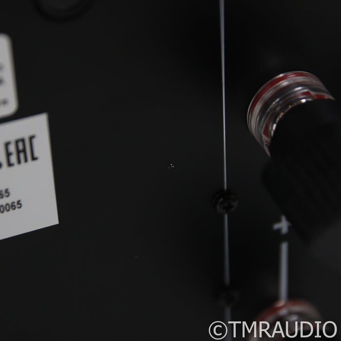 Classe Audio Delta Stereo Power Amplifier