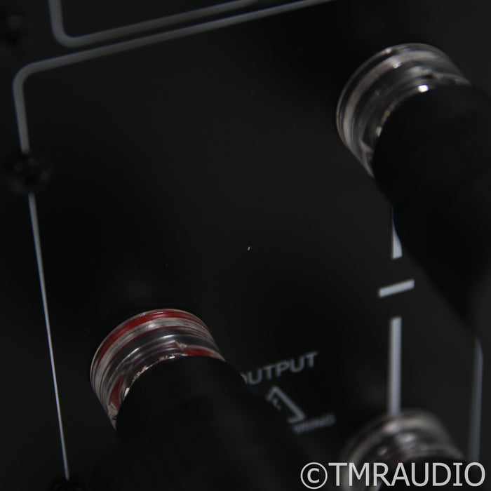 Classe Audio Delta Stereo Power Amplifier