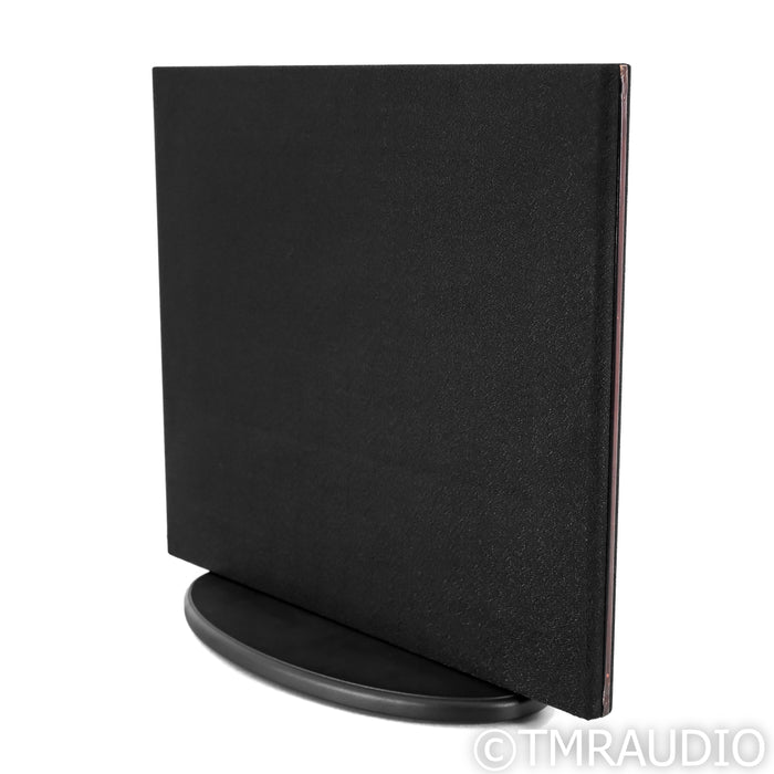 Magnepan DWM Planar Magnetic Bass Panel