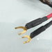 Audience OHNO III Speaker Cables; 5m Pair