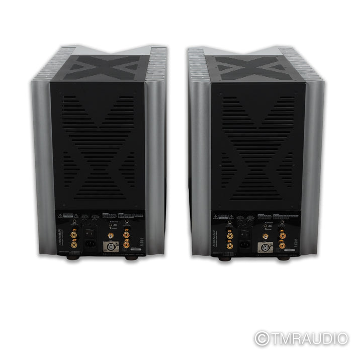Pathos Adrenalin Tube Monoblock Power Amplifiers; Pair