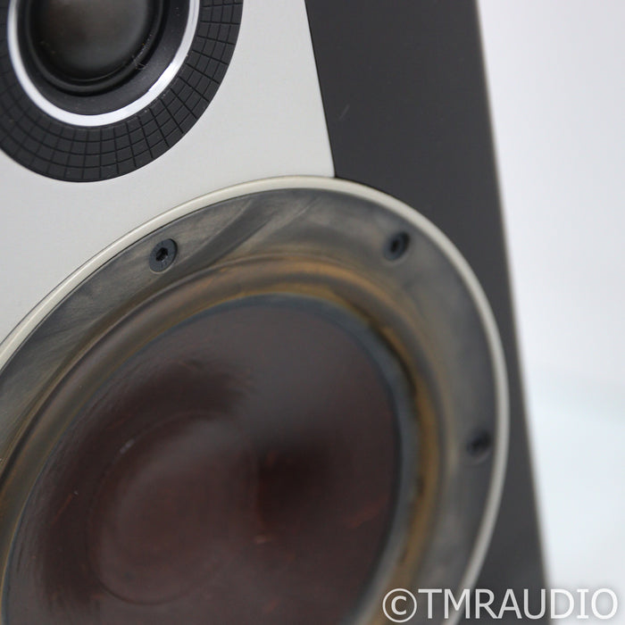 DALI Epicon 6 Floorstanding Speakers; Ruby Macassar Pair