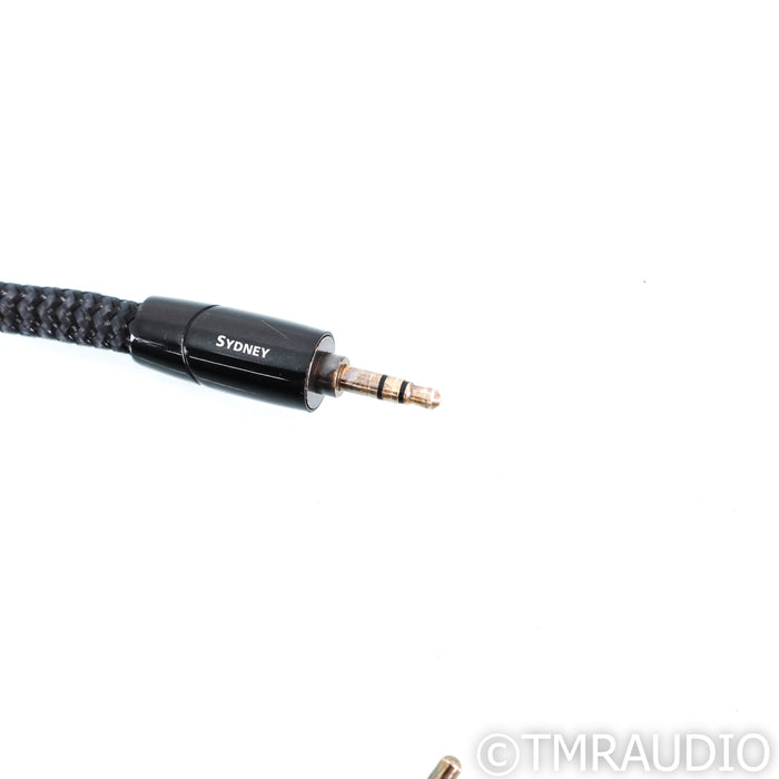 AudioQuest Sydney RCA Cable; 2ft Single 3.5mm to Stereo RCA Interconnect