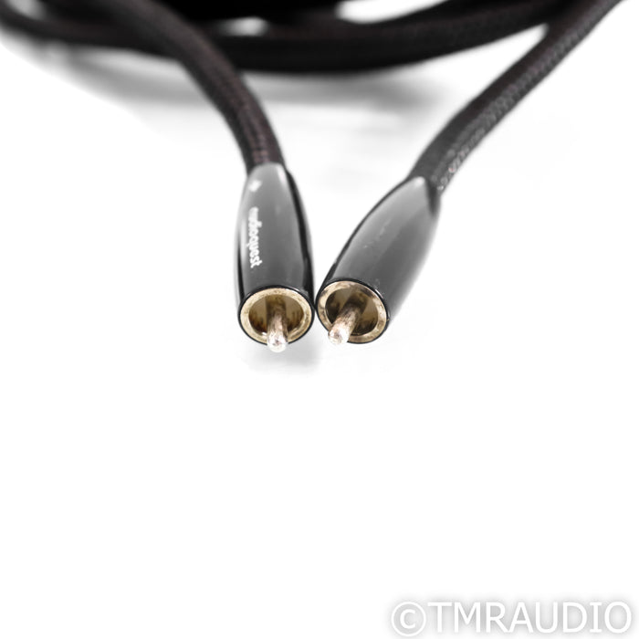 AudioQuest Mackenzie RCA Cables; 19ft Pair Interconnects