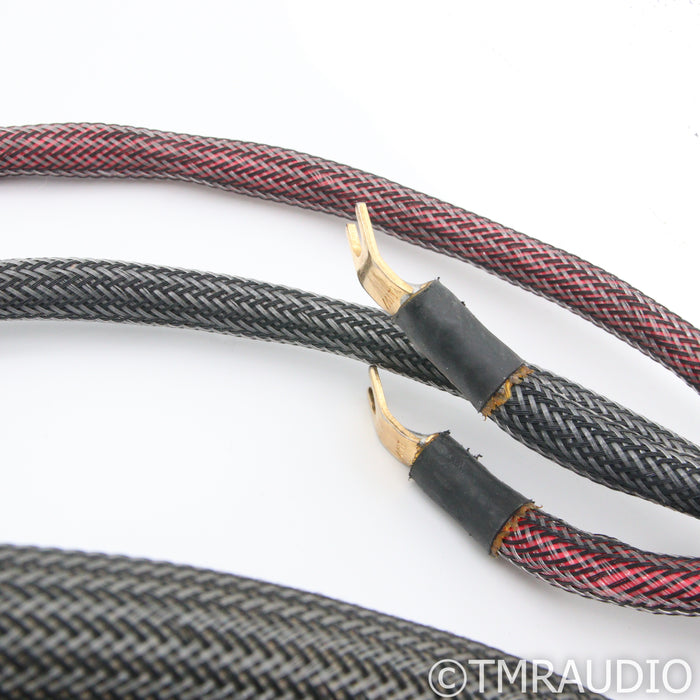 MIT Oracle V4 Speaker Cables; 10ft Pair