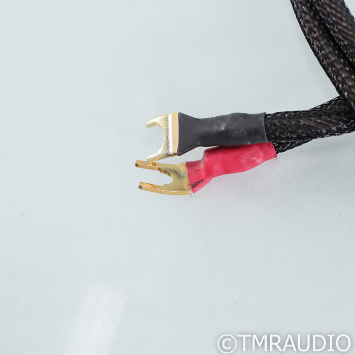 Townshend  F1 Fractal  Speaker Cables; 2m Pair
