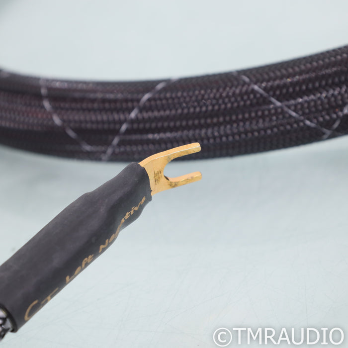 Cerious Technologies Graphene Lumniscate Speaker Cables; 8ft Pair