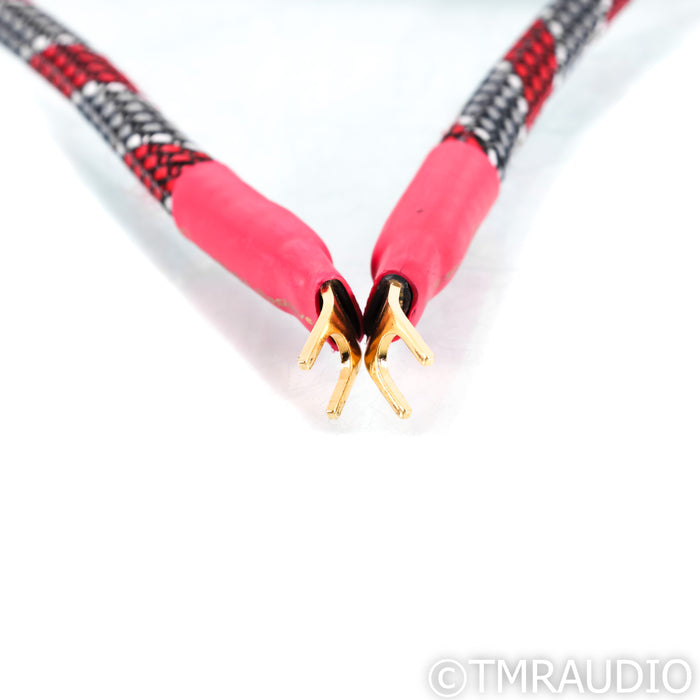 Cerious Technologies Graphene Lumniscate Speaker Cables; 8ft Pair