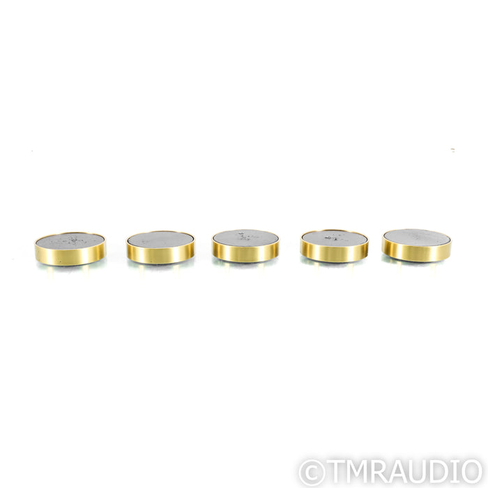 Walker Audio Valid Points Resonance Control Kit; Set of 3 Spikes and 5 Discs
