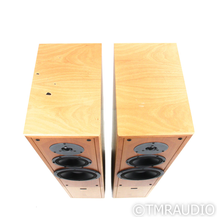Dynaudio Contour 3.0 Floorstanding Speakers; Pair