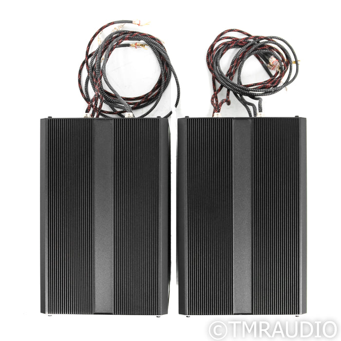 AudioNec Evo 3 Signature Floorstanding Speakers; White Pair w/ Crossovers