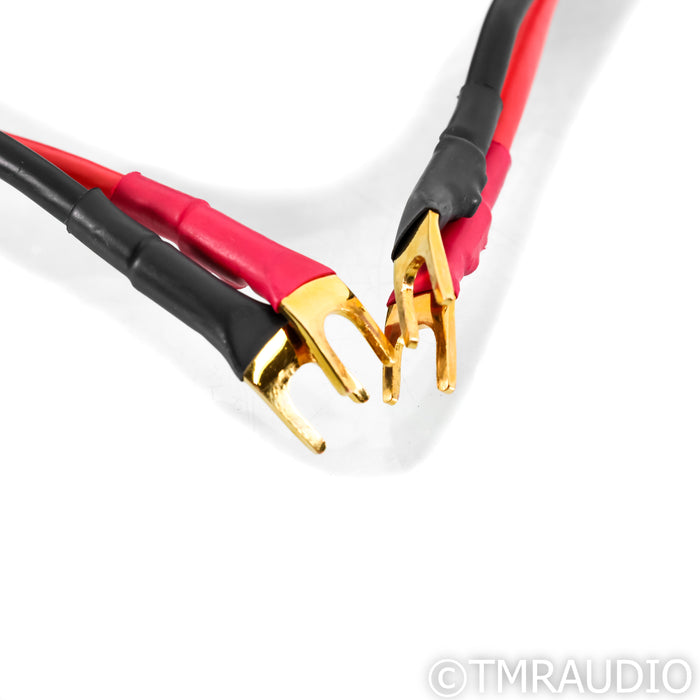 Acoustic Zen Absolute Zero Crystal Silver Speaker Cables; 8ft Pair