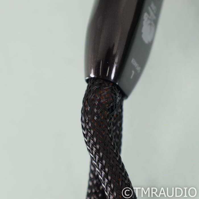 AudioQuest Oak Speaker Cables; 6ft Pair
