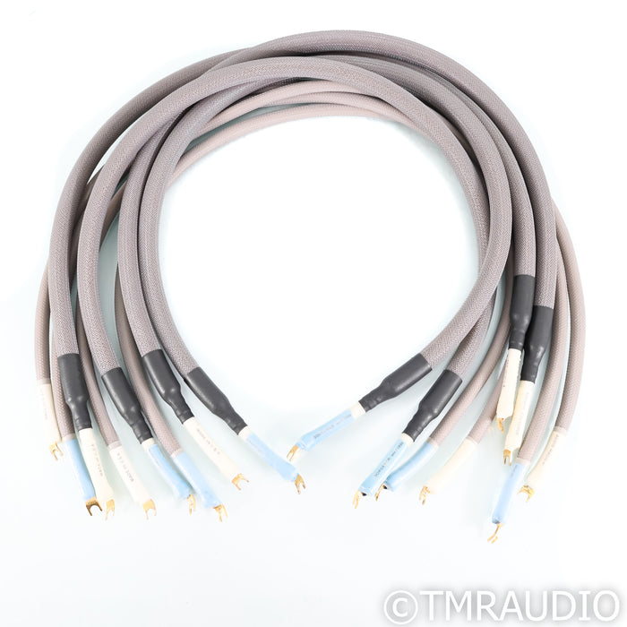 Audio Magic Sorcerer Bi-Amp Speaker Cables; 4ft Set of 8 Cables