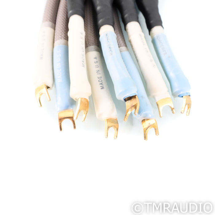 Audio Magic Sorcerer Bi-Amp Speaker Cables; 4ft Set of 8 Cables