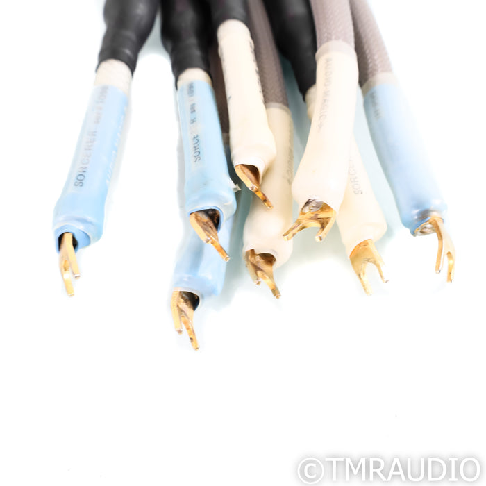 Audio Magic Sorcerer Bi-Amp Speaker Cables; 4ft Set of 8 Cables