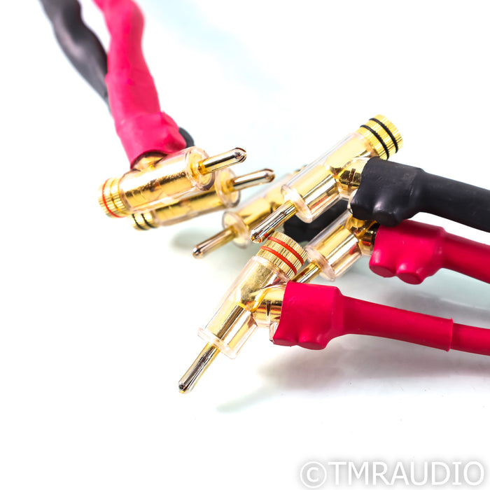 Acoustic Zen Hologram Bi-Wire Speaker Cables; 6ft Pair