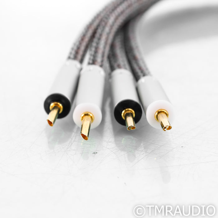 Ansuz Speakz D2 Speaker Cables; 2m Pair