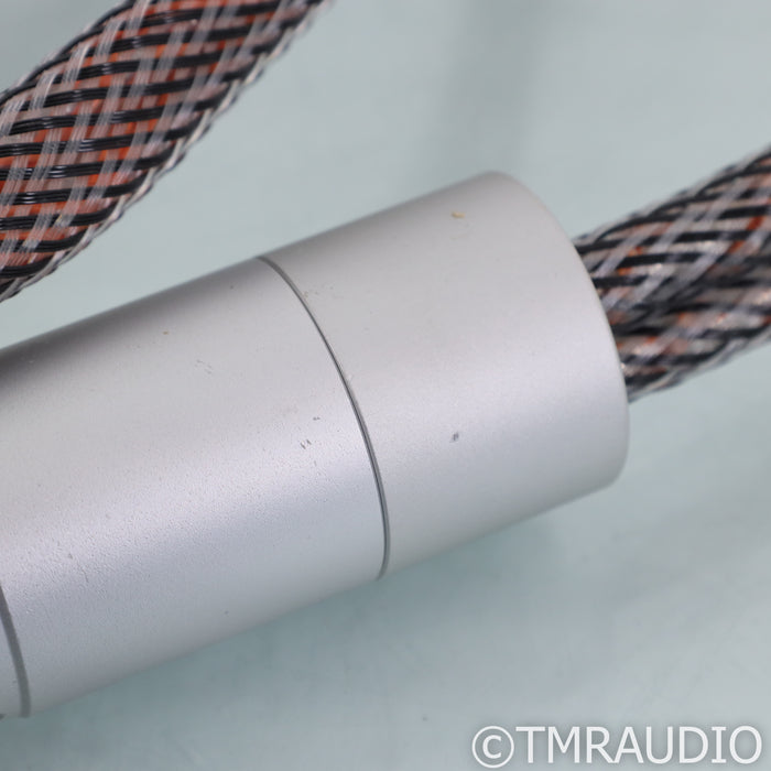 Ansuz Speakz D2 Speaker Cables; 2m Pair