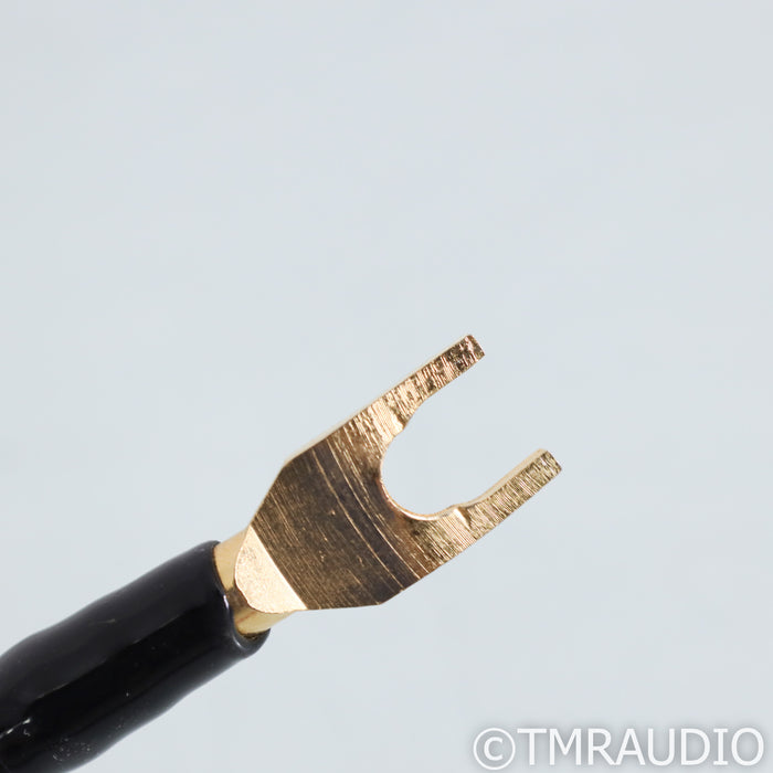 MIT EVO Two Speaker Cables; 8ft Pair
