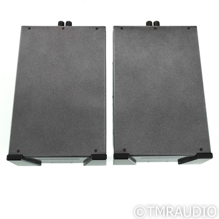 Wyred 4 Sound SX-1000R Monblock Power Amplifiers; Pair