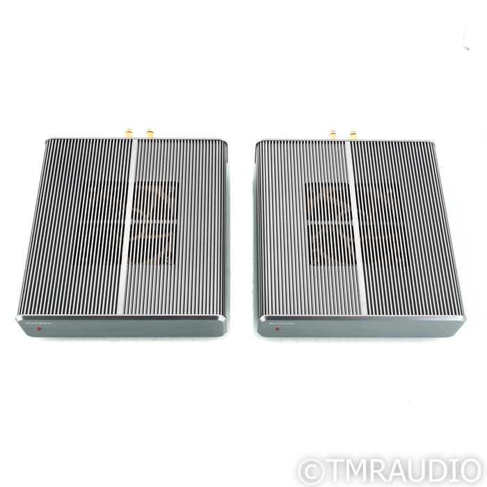 Burson Audio Timekeeper 3X GT Monoblock Power Amplifiers; Pair