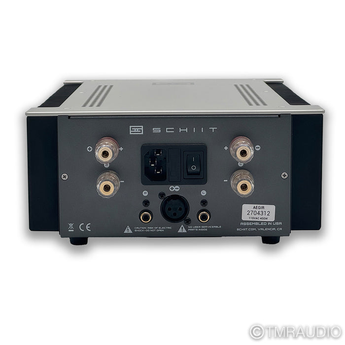 Schiit Audio Aegir Stereo Power Amplifier