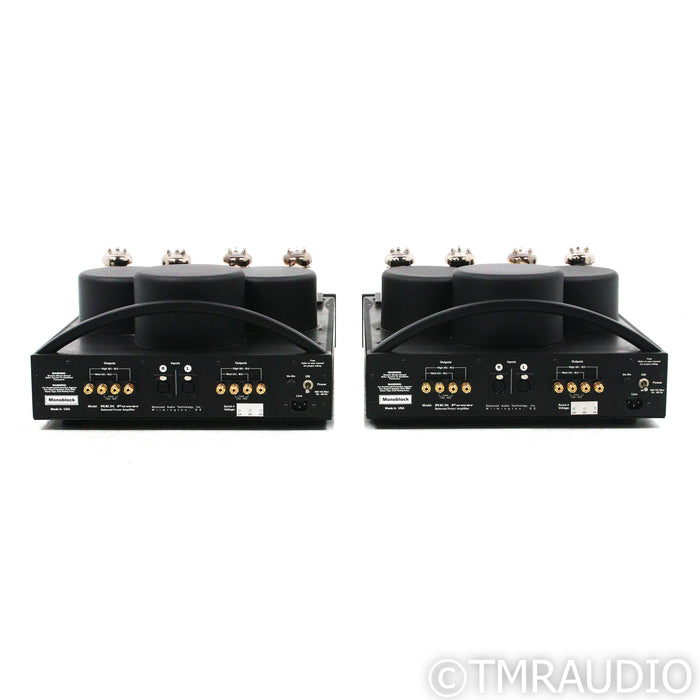 BAT REX Monoblock Tube Power Amplifiers; Black Pair