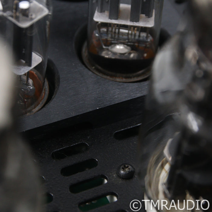 BAT REX Monoblock Tube Power Amplifiers; Black Pair