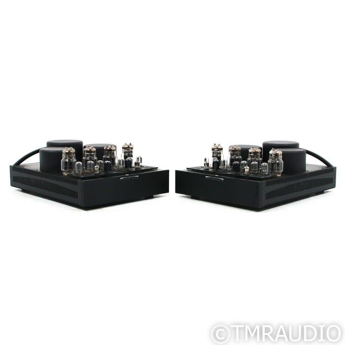 BAT REX Monoblock Tube Power Amplifiers; Black Pair