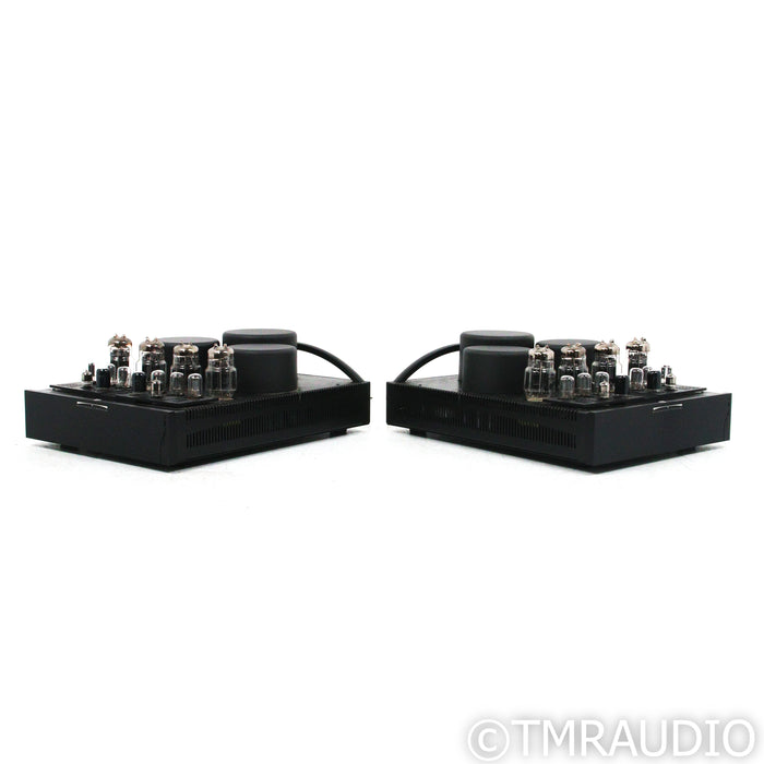 BAT REX Monoblock Tube Power Amplifiers; Black Pair