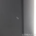 Dynaudio Contour 20 Bookshelf Speakers; Grey Oak High Gloss Pair w/ Stands