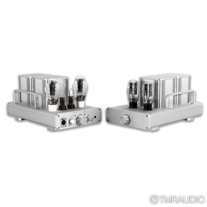 Woo Audio WA5-LE (2nd Gen) Tube Headphone Amplifier; Premium Parts Upgrade