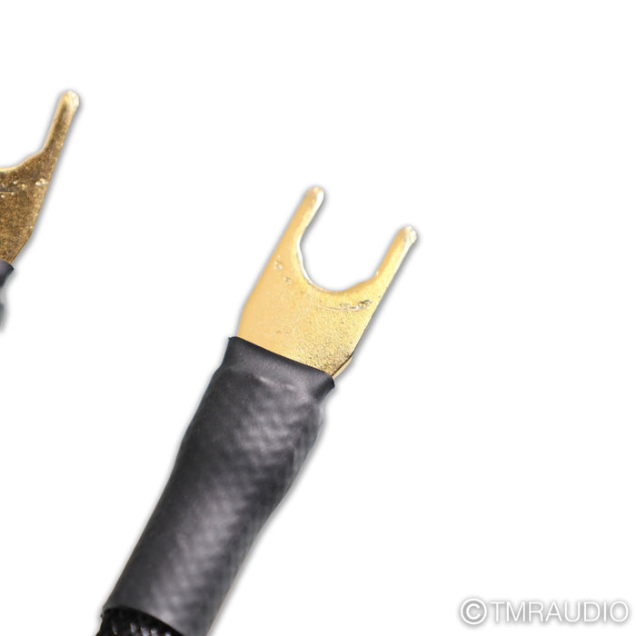 Transparent Audio Super Gen 6 Speaker Cables; 10ft Pair