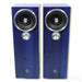 Zu Audio Dirty Weekend 6 (DW6) Floorstanding Speakers (Mint)