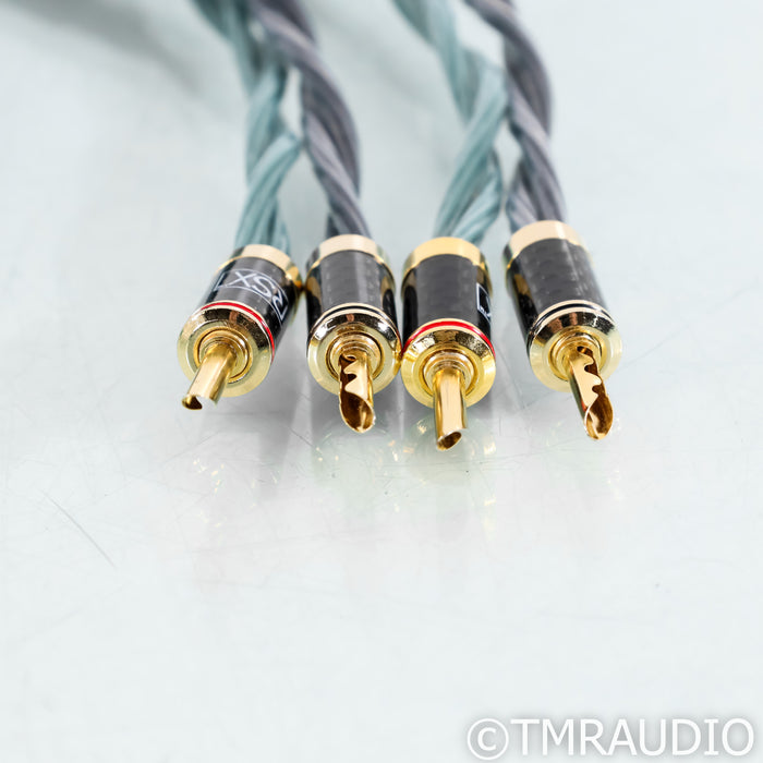 RSX Technologies ER-61 Benchmark Speaker Cables; 8ft Pair