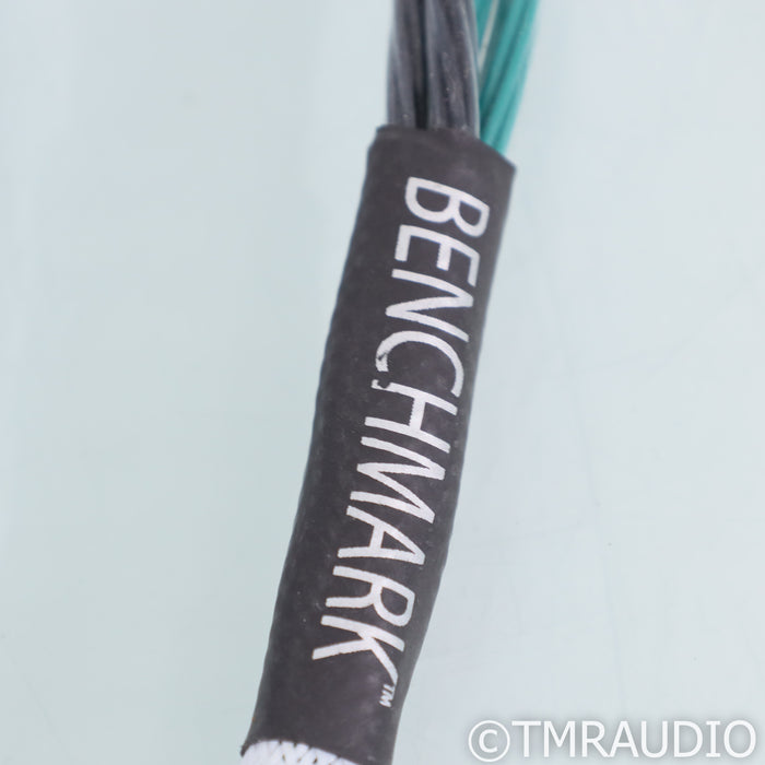 RSX Technologies ER-61 Benchmark Speaker Cables; 8ft Pair