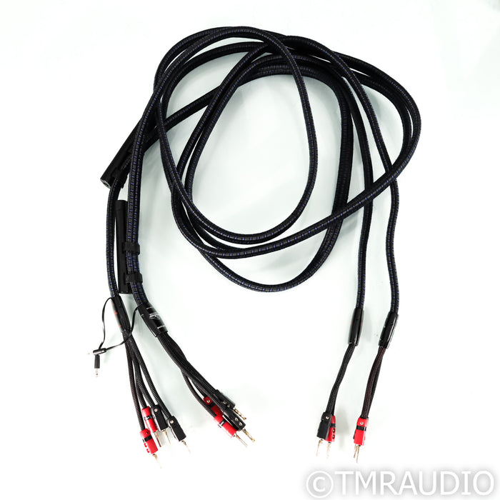 AudioQuest Gibraltar Bi-Wire Speaker Cables; 10ft Pair