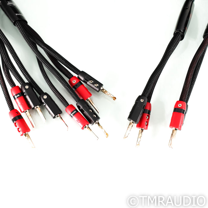 AudioQuest Gibraltar Bi-Wire Speaker Cables; 10ft Pair