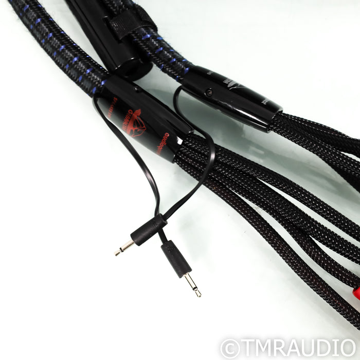 AudioQuest Gibraltar Bi-Wire Speaker Cables; 10ft Pair