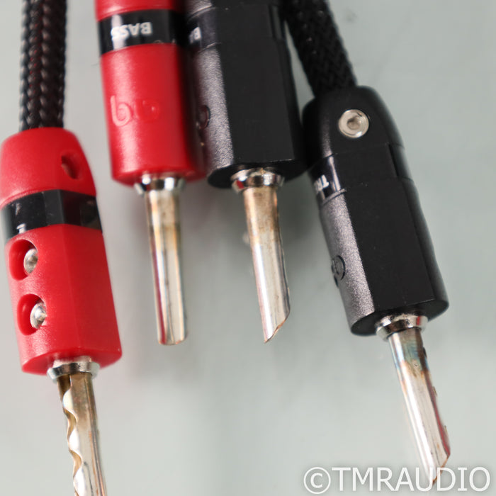 AudioQuest Gibraltar Bi-Wire Speaker Cables; 10ft Pair