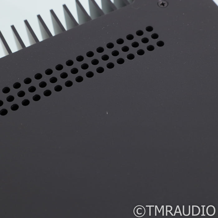 Schiit Audio Aegir Stereo / Mono Power Amplifier