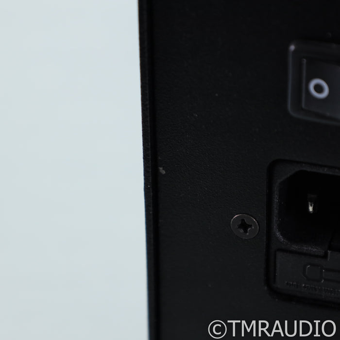 Audio Note DAC 4.1 Limited Edition Tube DAC; D/A Converter; C-Core; Silver Wiring