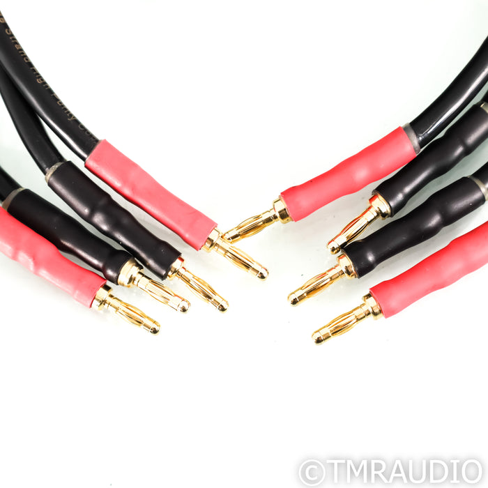 Audio Note Lexus LX96 Speaker Cables; 3m Pair